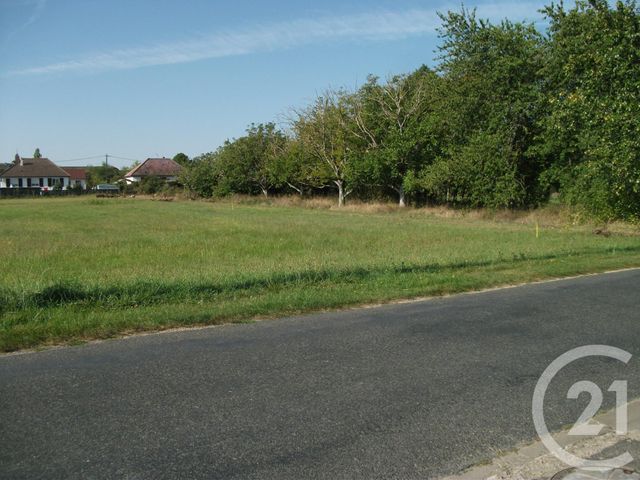 terrain à vendre - 2478.0 m2 - CRAVANT - 45 - CENTRE - Century 21 Néré Immobilier