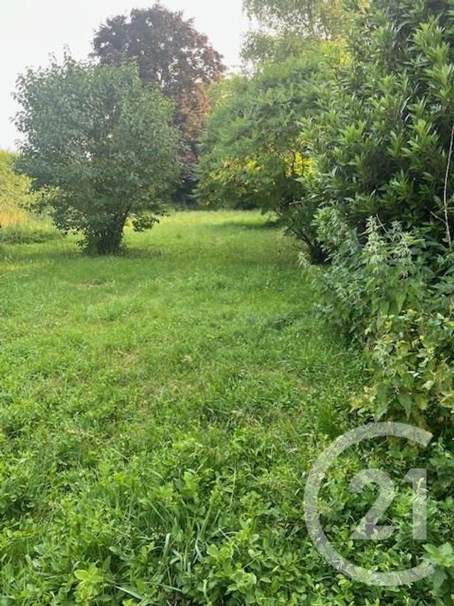 maison à vendre - 4 pièces - 175.18 m2 - MEUNG SUR LOIRE - 45 - CENTRE - Century 21 Néré Immobilier