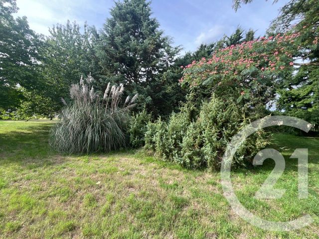 maison à vendre - 9 pièces - 235.8 m2 - JOSNES - 41 - CENTRE - Century 21 Néré Immobilier