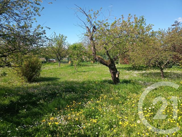 maison à vendre - 9 pièces - 269.89 m2 - BAULE - 45 - CENTRE - Century 21 Néré Immobilier