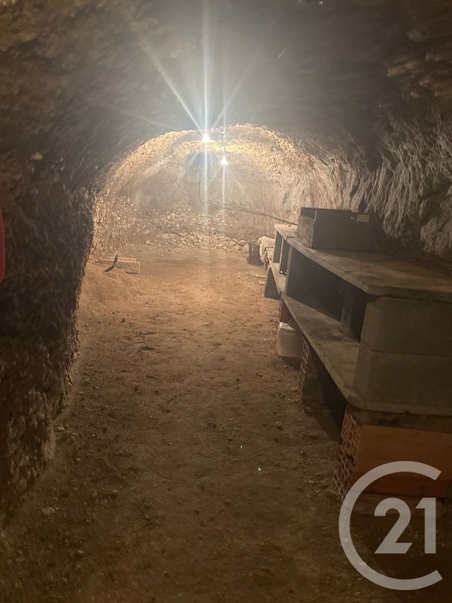 Afficher la photo en grand maison à vendre - 9 pièces - 286.38 m2 - VILLORCEAU - 45 - CENTRE - Century 21 Néré Immobilier