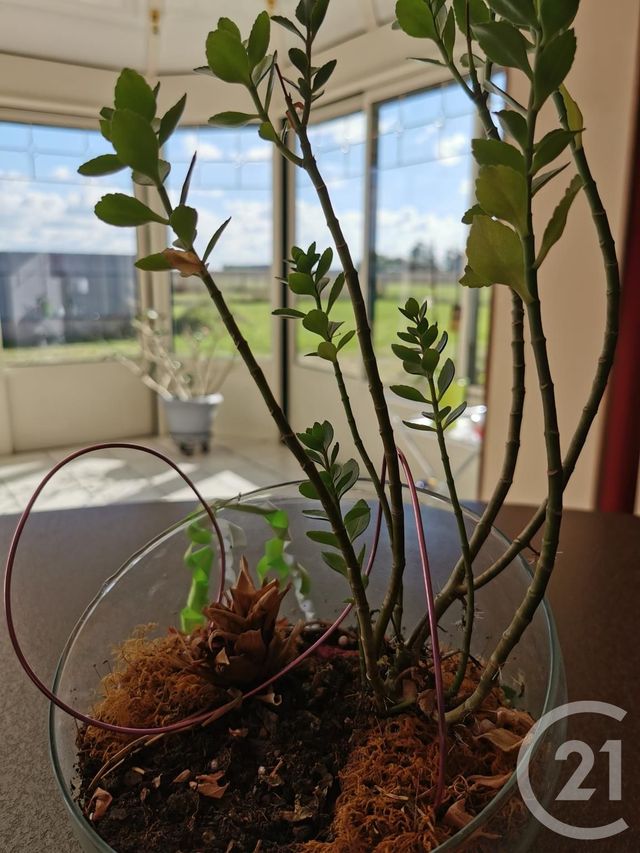 maison à vendre - 6 pièces - 137.0 m2 - BEAUGENCY - 45 - CENTRE - Century 21 Néré Immobilier