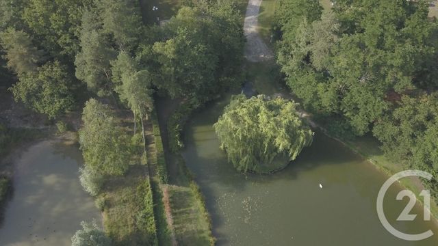 maison à vendre - 6 pièces - 345.0 m2 - LA FERTE ST CYR - 41 - CENTRE - Century 21 Néré Immobilier